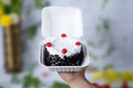Black Forest Bento Cake Mille Crust Bakery, Trivandrum